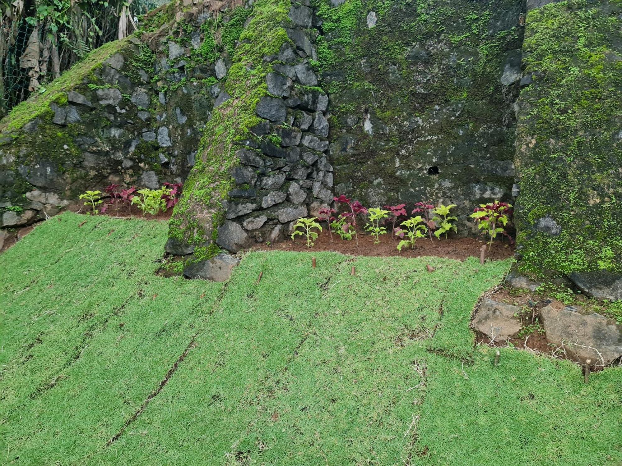 Hello Kandy Homestay Exterior photo