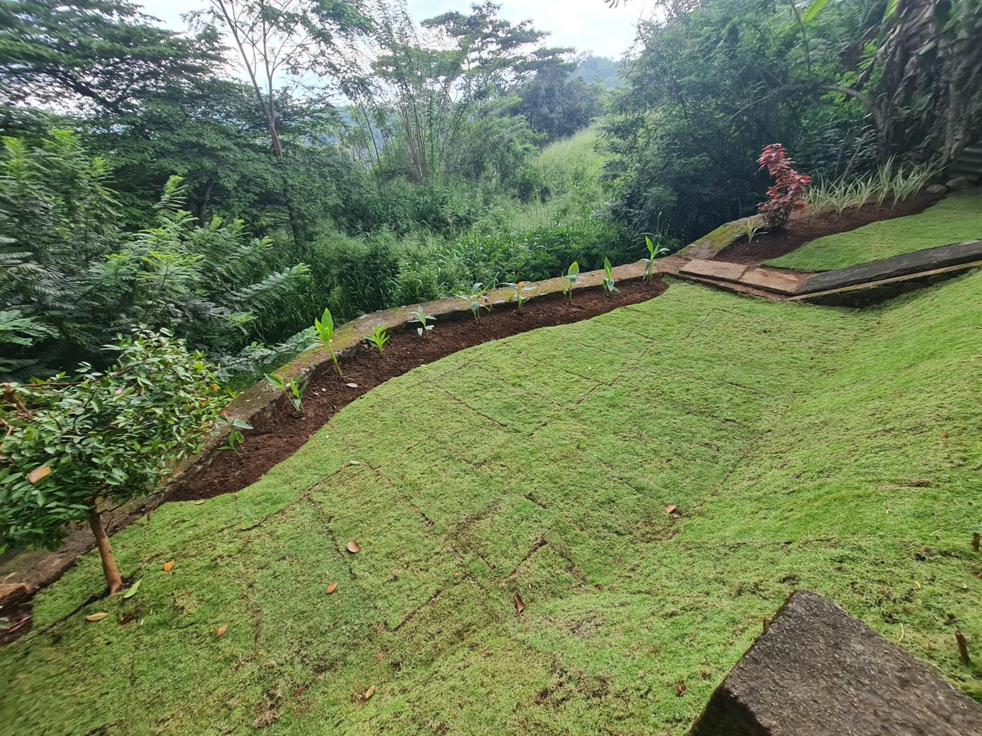 Hello Kandy Homestay Exterior photo